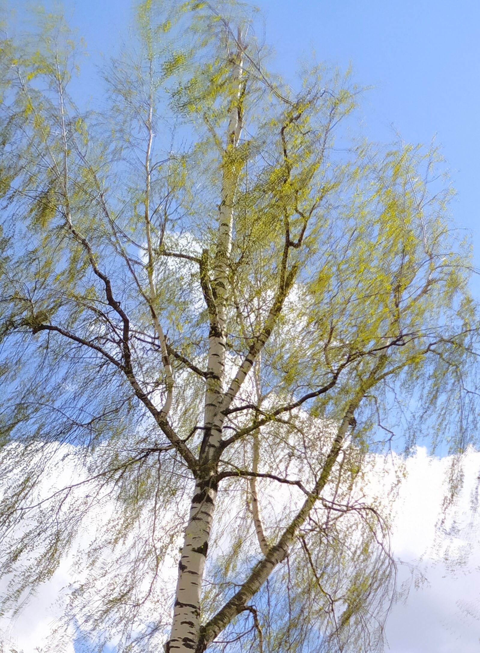 Xiaomi Redmi Note 8T sample photo. Wind, sky, clouds photography