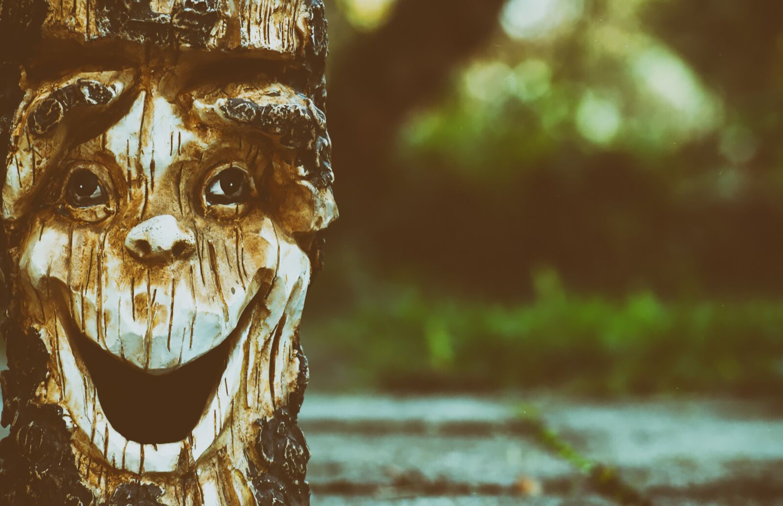 Nikon D3200 sample photo. Log, face, fash photography