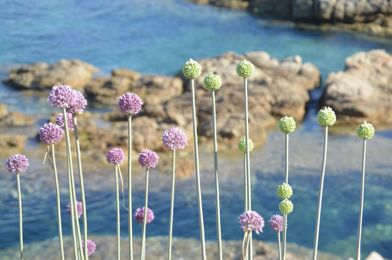 Nikon D5100 sample photo. Color, sea, summer photography