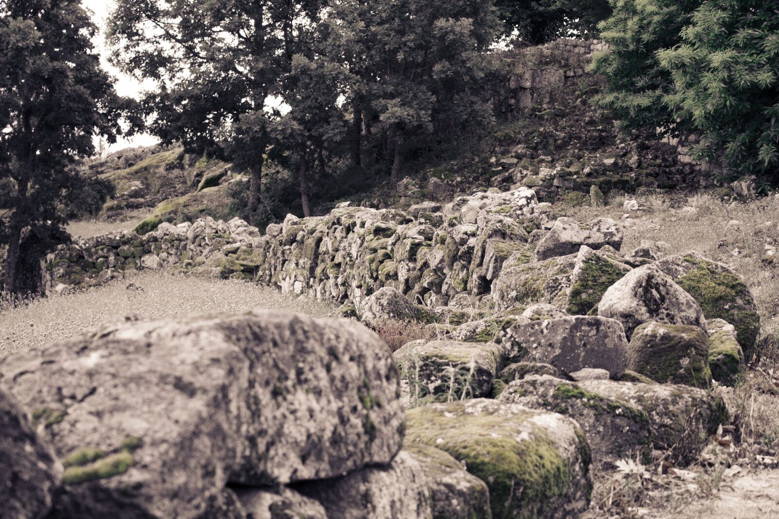 Canon EOS 700D (EOS Rebel T5i / EOS Kiss X7i) sample photo. Ruin, castle, fortress photography