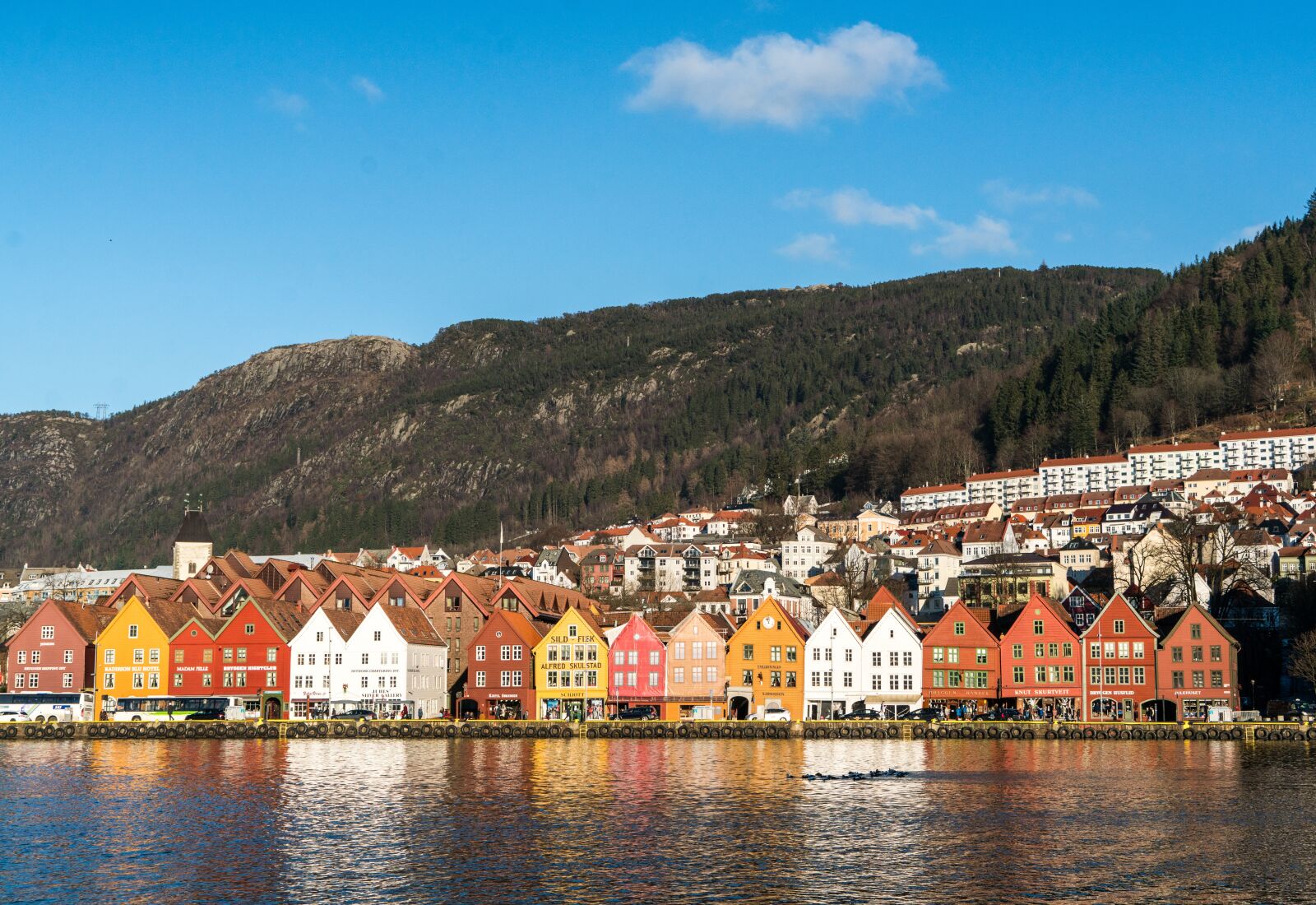 Sony a7R II + Sony FE 24-240mm F3.5-6.3 OSS sample photo. Norway, bergen, coast photography