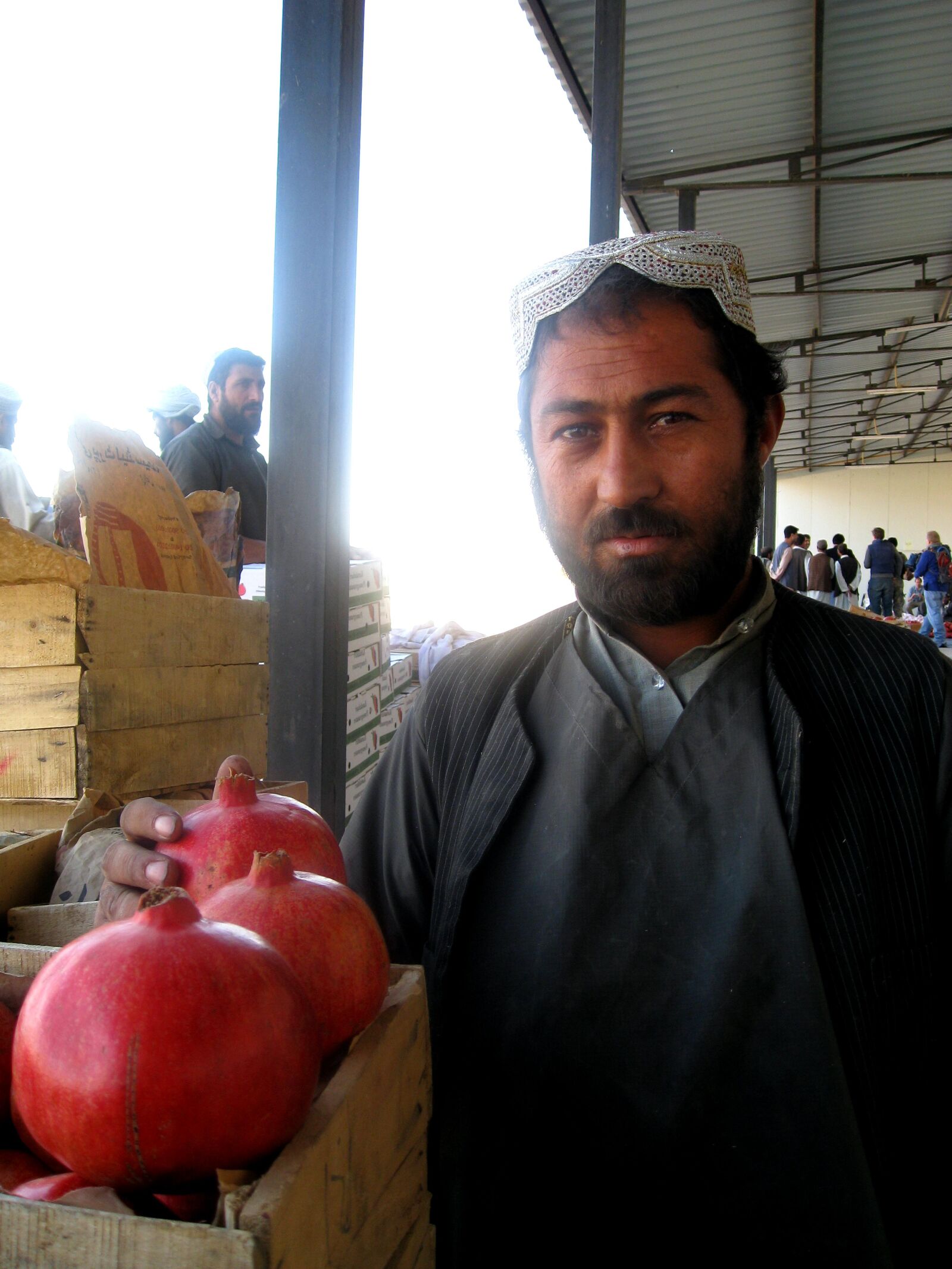 Canon POWERSHOT SD850 IS sample photo. Afghanistan, trained, pomegranate, farmer photography