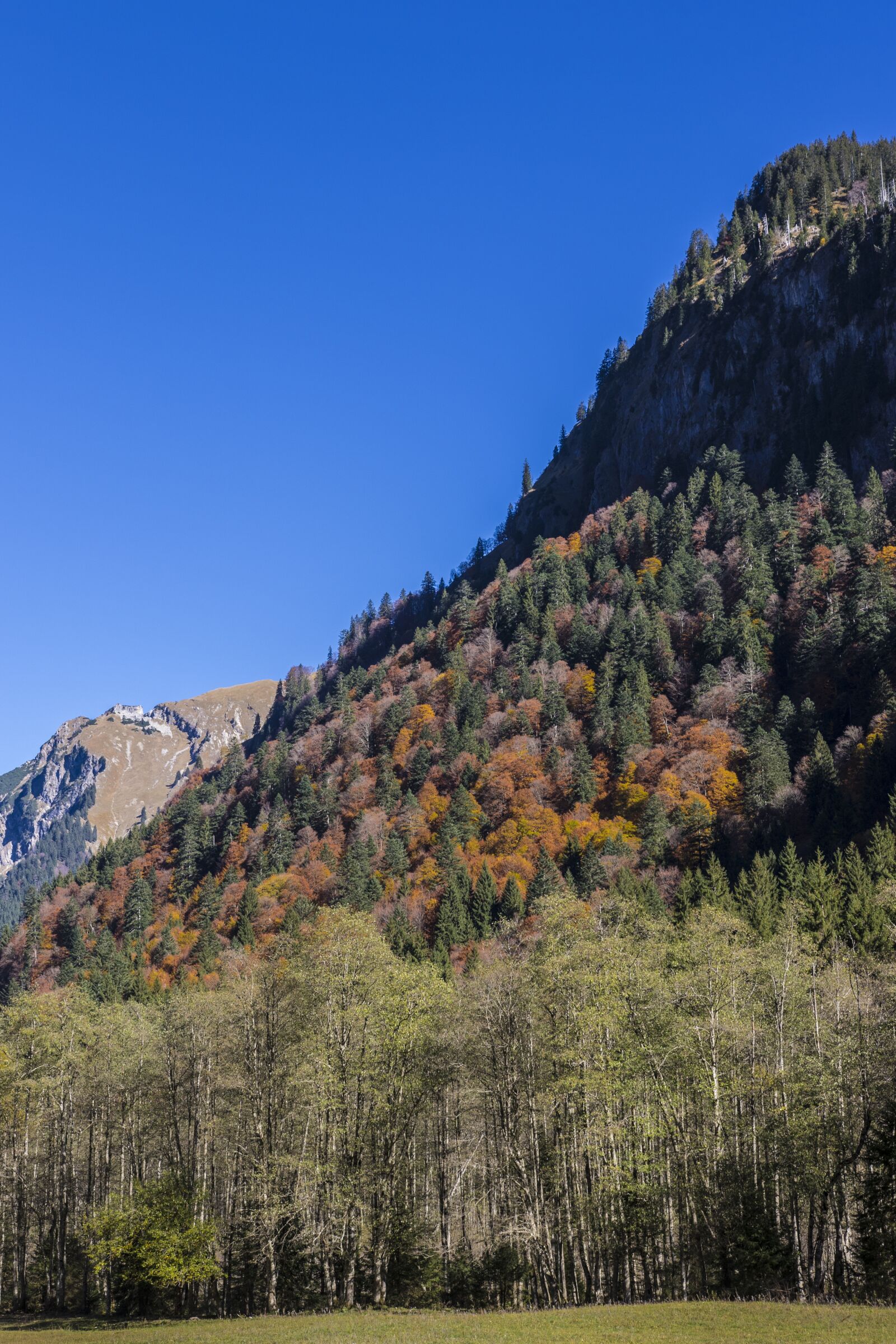 Canon EOS 7D Mark II sample photo. Mountain forests, autumn forest photography