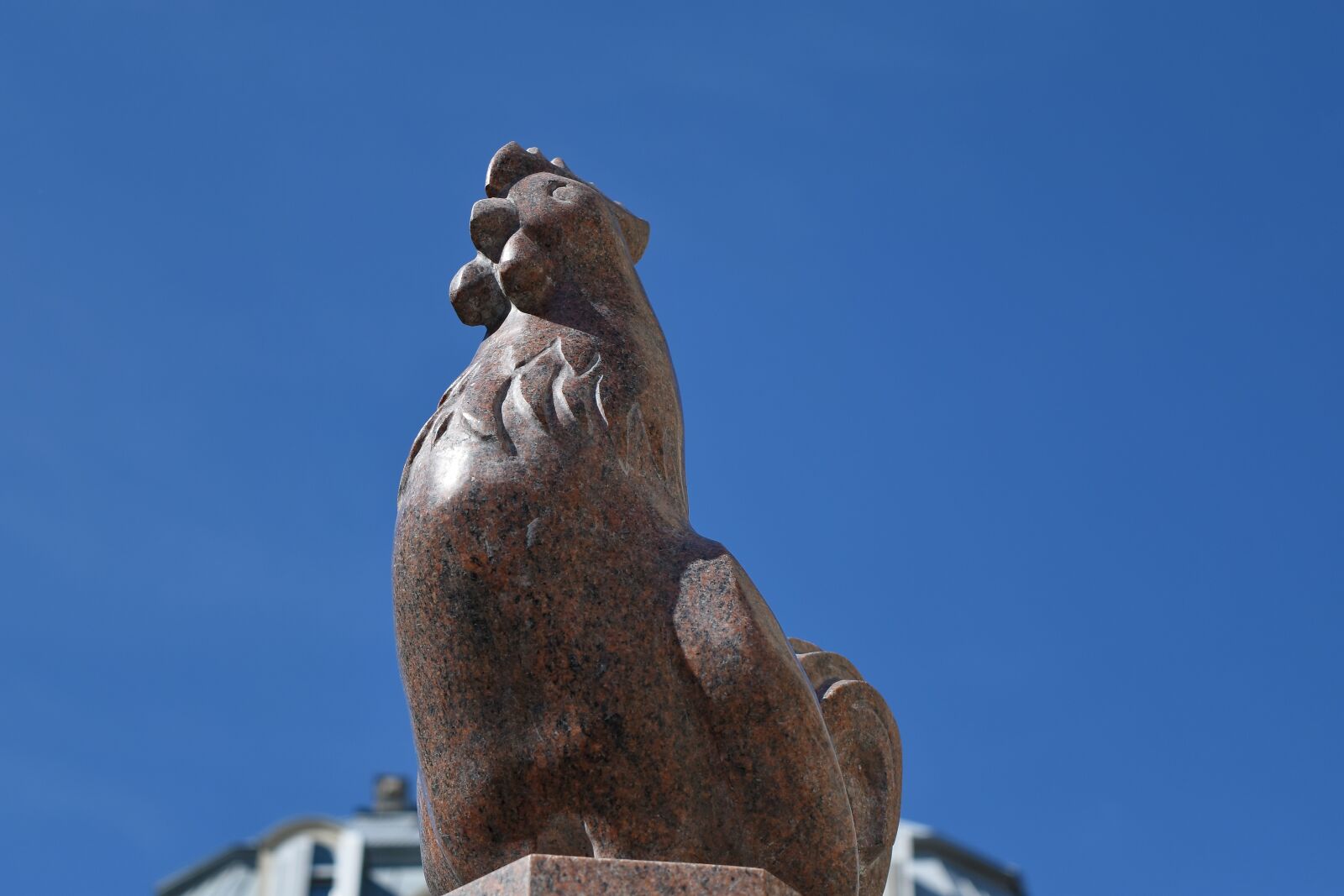 Nikon D5500 sample photo. Bird, marble, rooster, urban photography