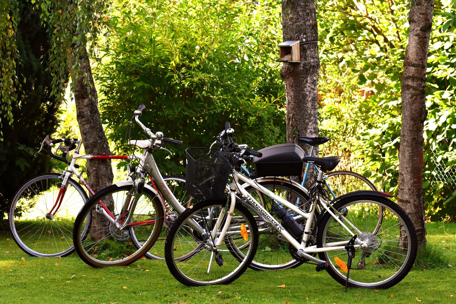 Nikon D7200 sample photo. Bicycles, cycle, bike photography