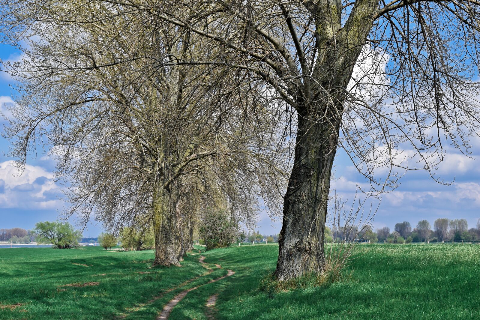 Nikon D3300 sample photo. Landscape, auen, nature photography