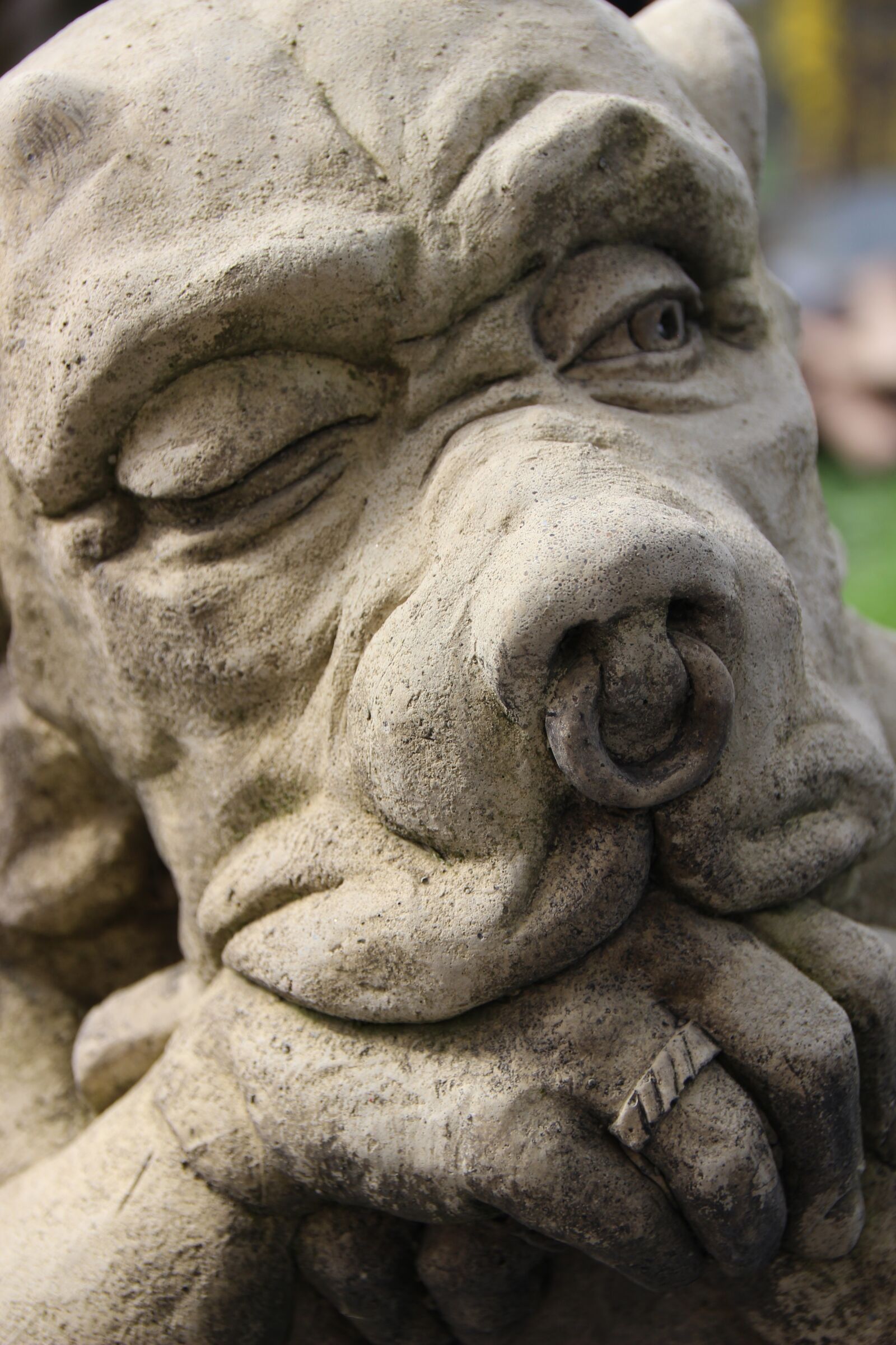 Canon EOS 600D (Rebel EOS T3i / EOS Kiss X5) sample photo. Gargoyle shield, sculpture, stone photography