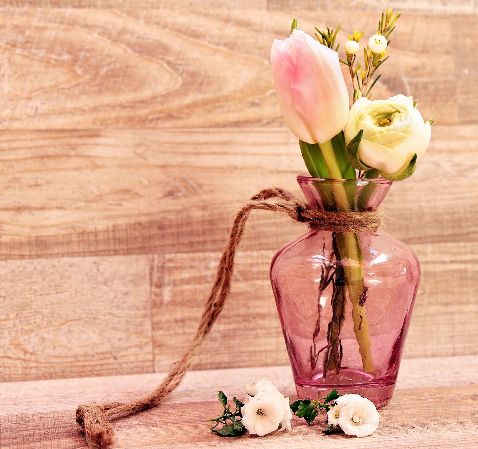 Canon EOS 550D (EOS Rebel T2i / EOS Kiss X4) sample photo. Tulip, rose, flower, vase photography