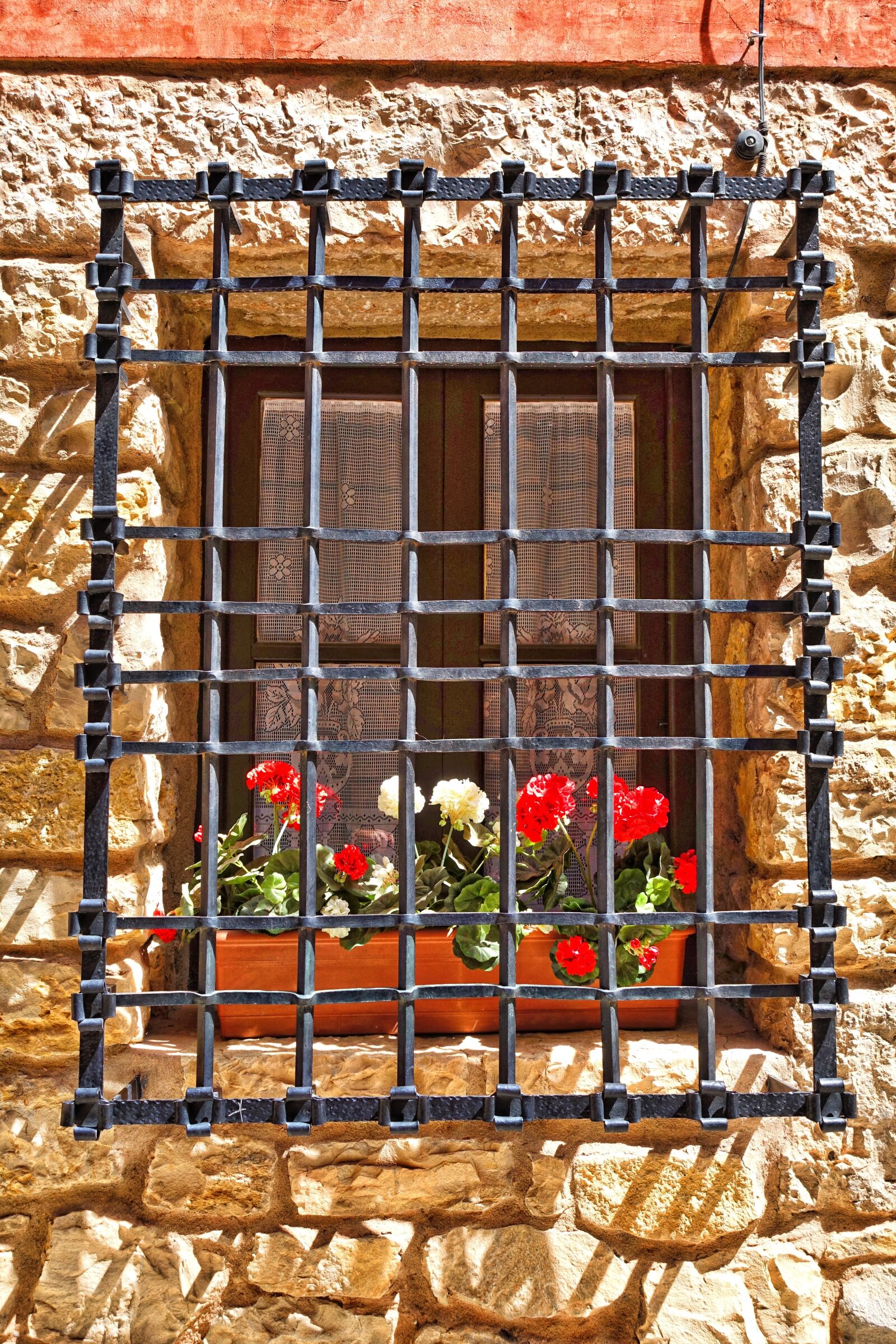 Sony Cyber-shot DSC-RX100 III sample photo. Window, flowers, protection photography