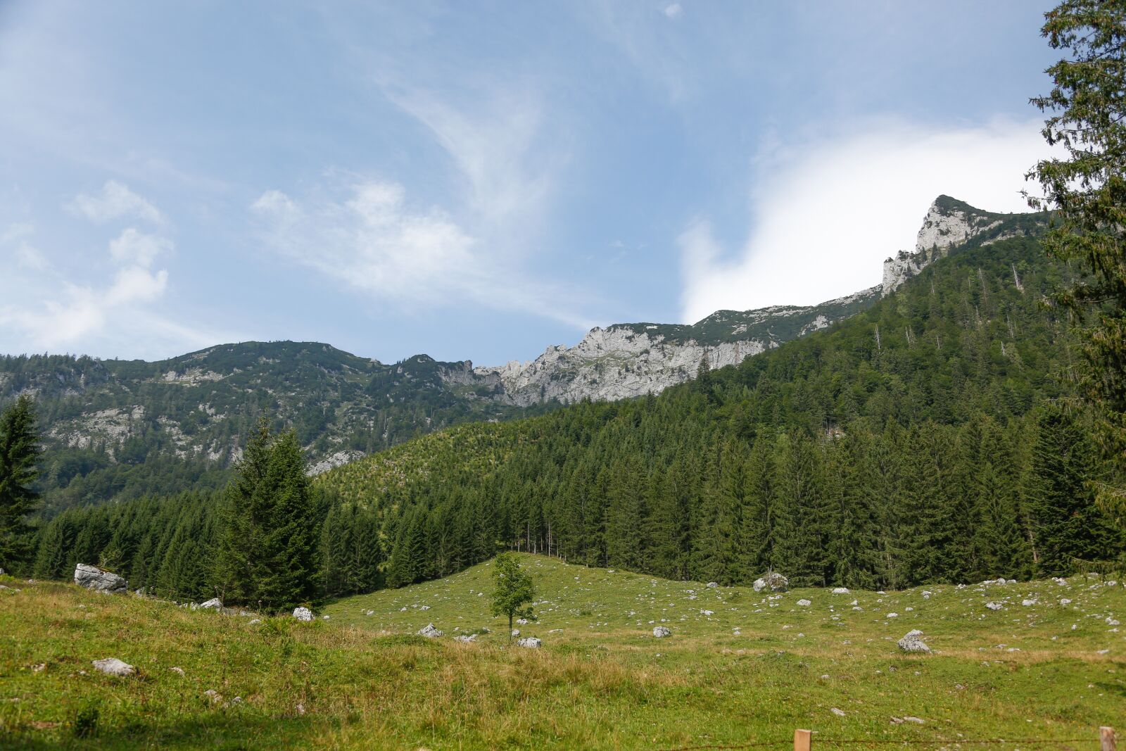 Canon EOS 5D Mark III sample photo. Alm, alpine meadow, mountains photography