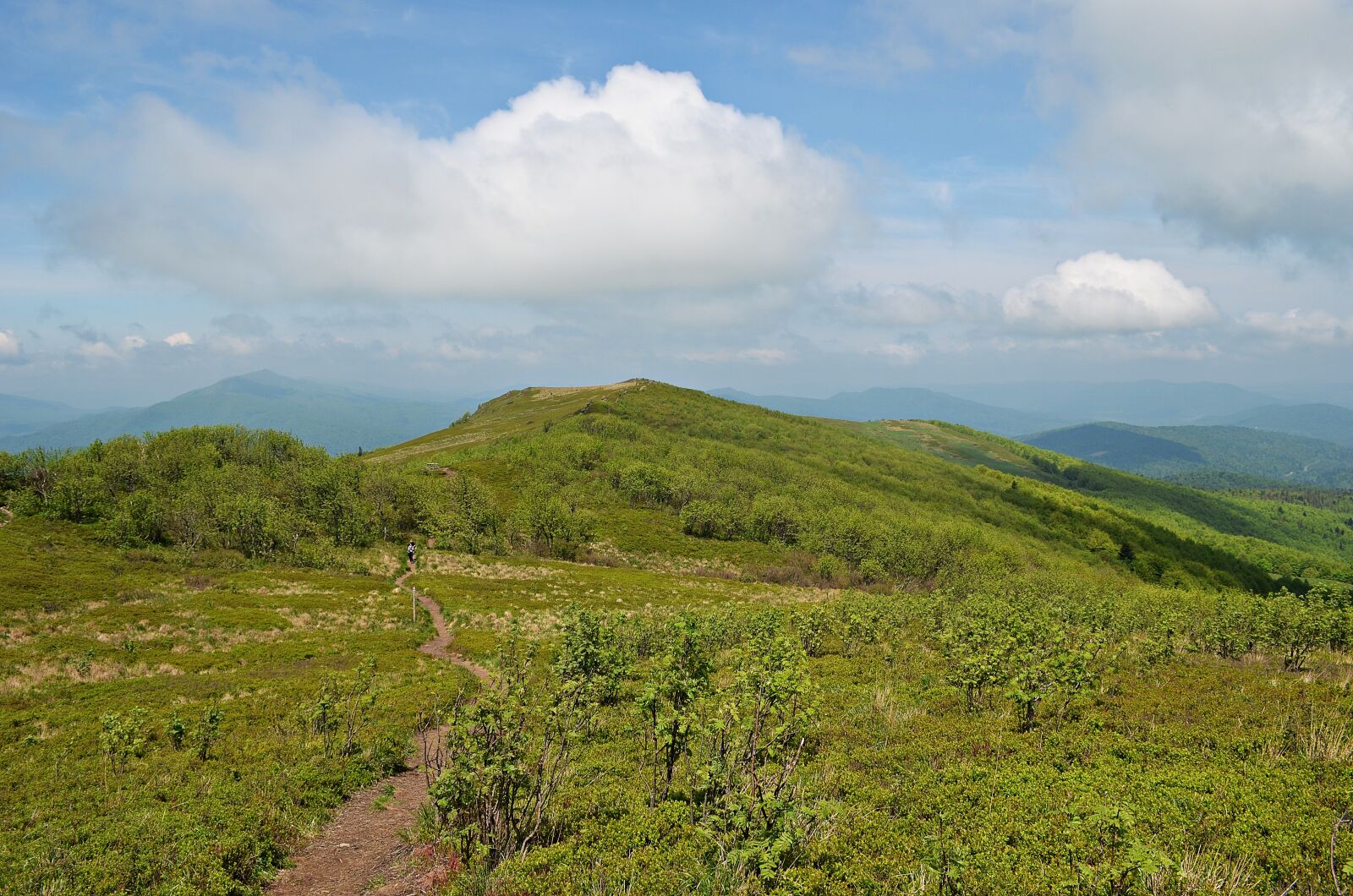 Nikon D5100 sample photo. Mountains, landscape, bieszczady photography