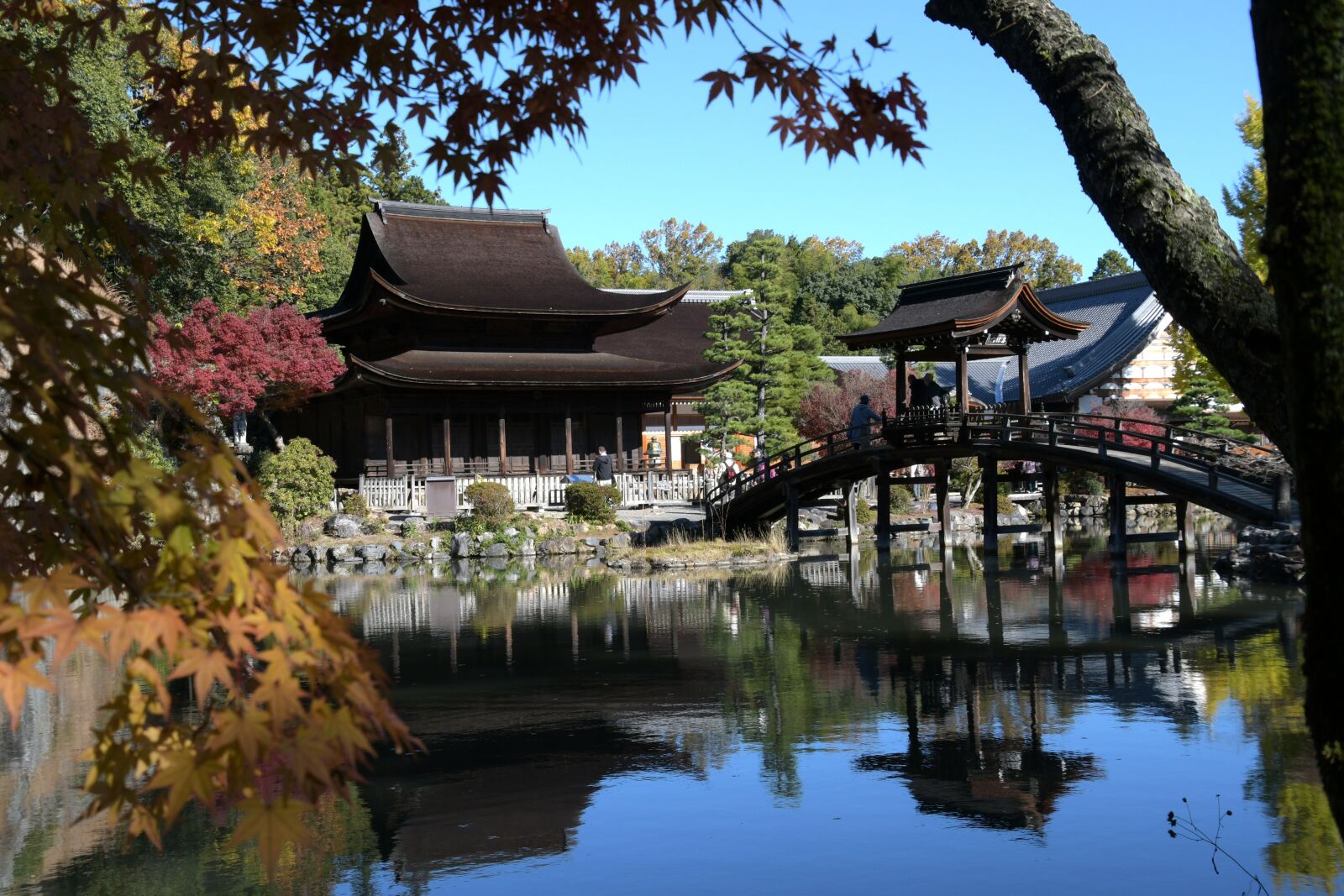 Nikon D500 sample photo. 永保 temple, temple, 虎渓山 photography