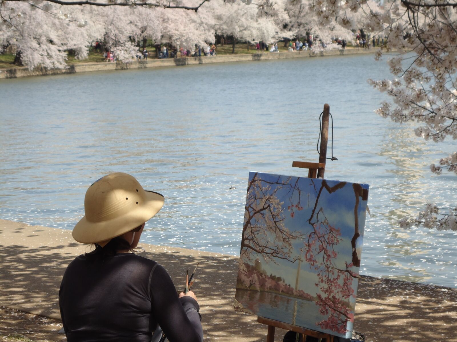 Sony Cyber-shot DSC-W330 sample photo. Artist, cherry blossoms, painting photography