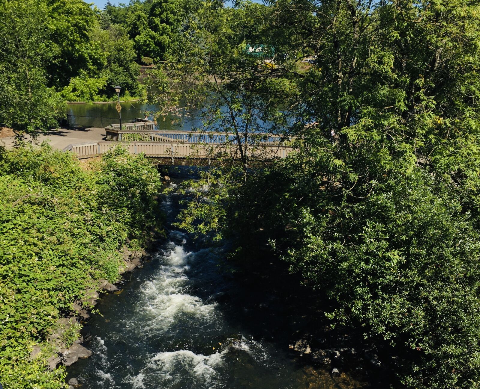 iPhone 6s back camera 4.15mm f/2.2 sample photo. Stream, urban stream, rapids photography