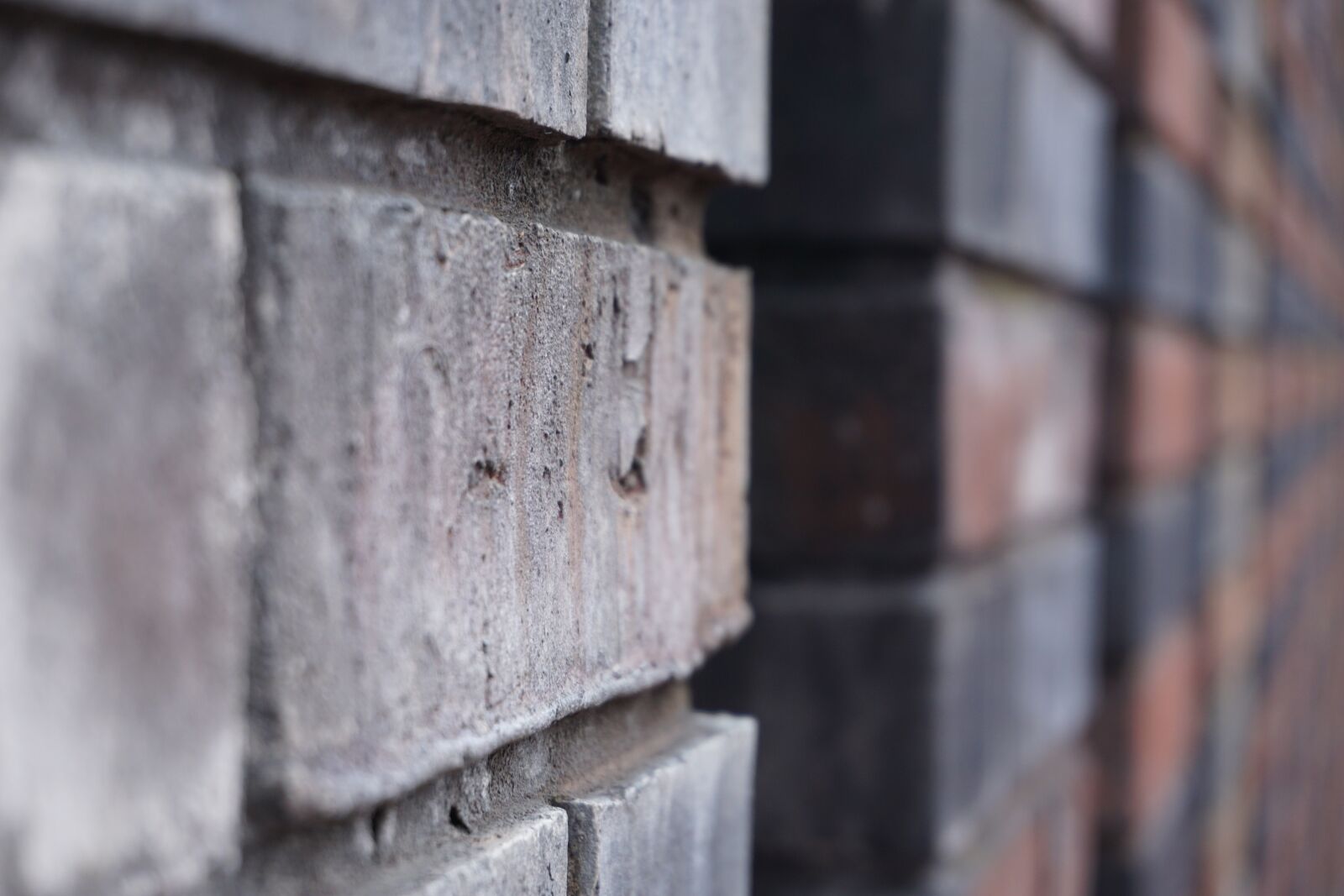 Sony a6000 sample photo. Brick, background, wall photography