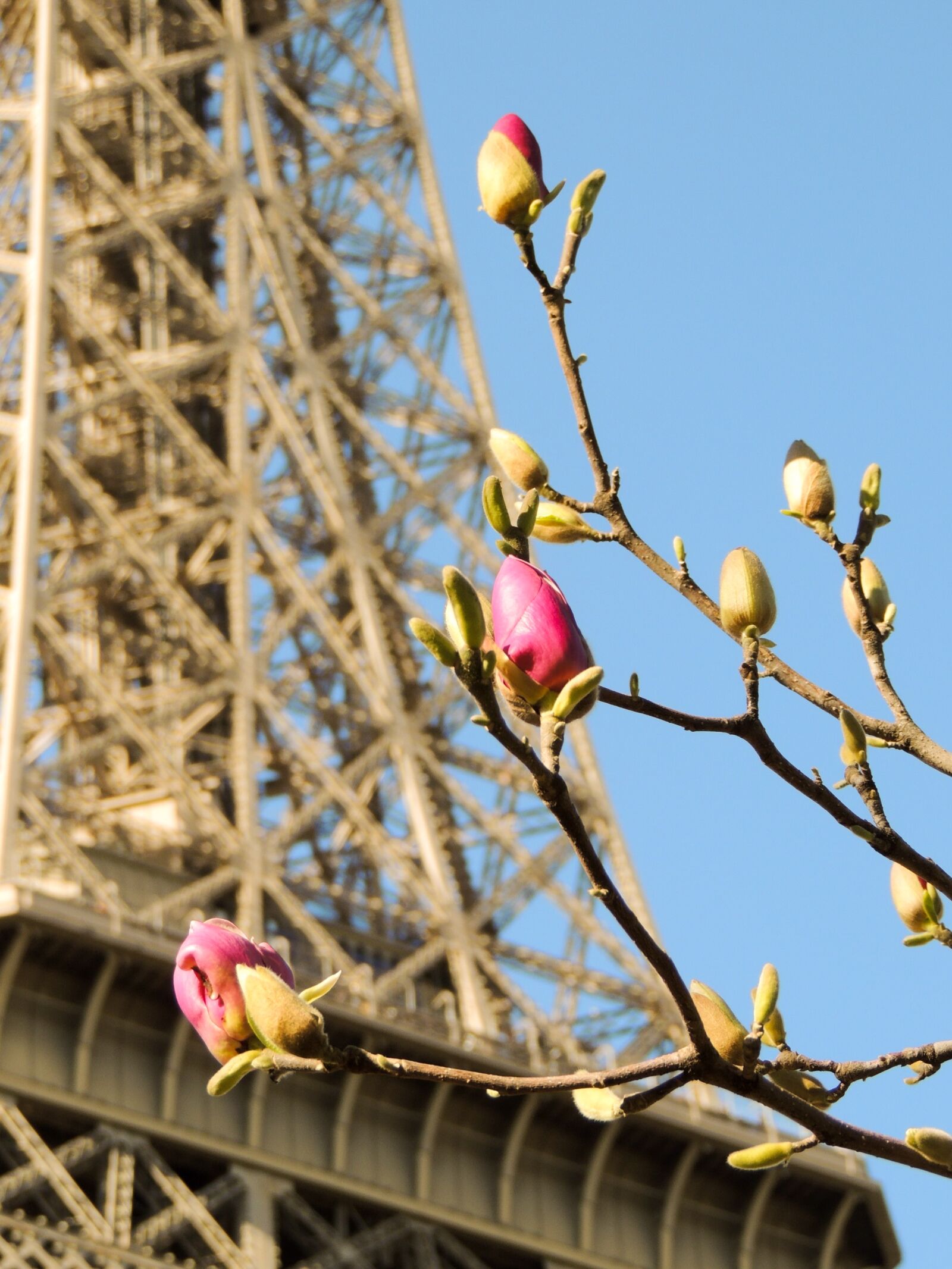 Nikon Coolpix P510 sample photo. Paris, eiffel tower, france photography