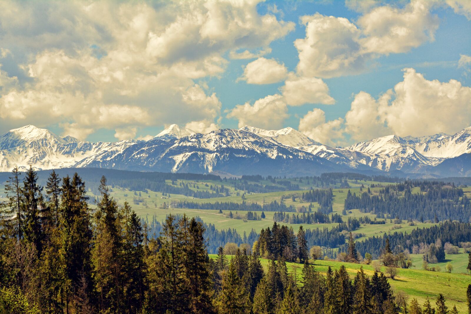 Nikon D7100 sample photo. Mountains, forests, sky photography