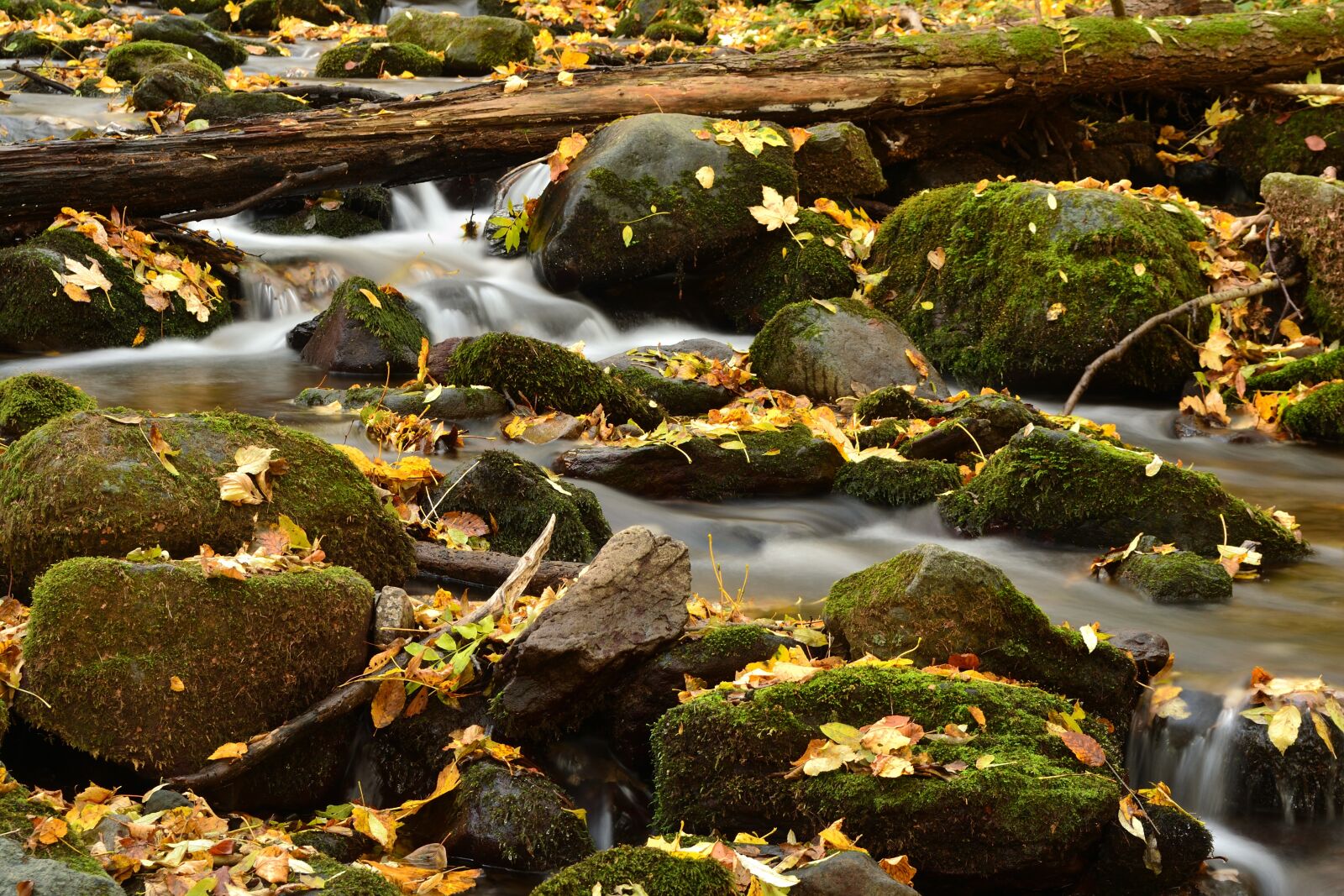 Nikon D3100 sample photo. Autumn, creek, water photography