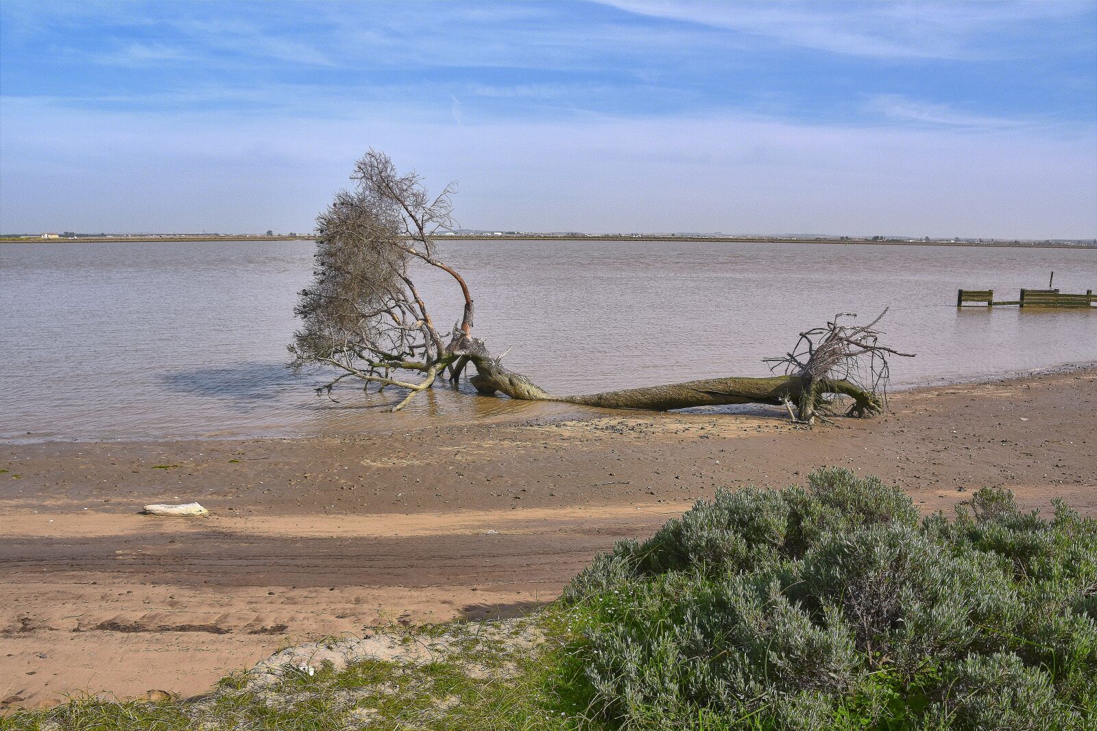 Nikon D7200 sample photo. River, fallen tree, landscape photography