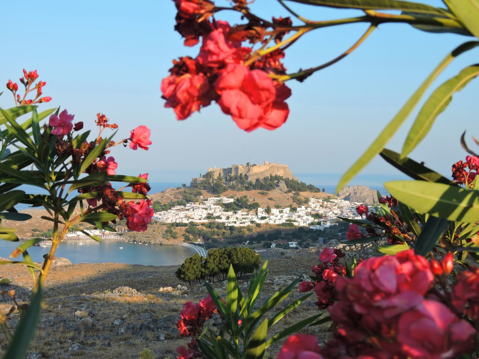 Nikon Coolpix P600 sample photo. Rhodes, lindos, car photography