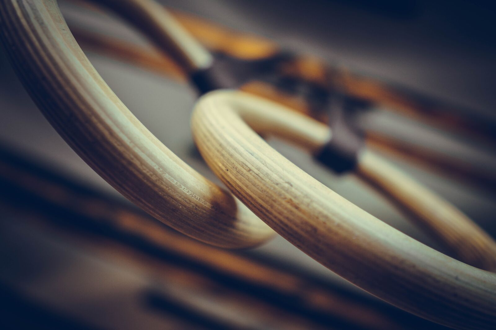 Sony a6400 + Sigma 16mm F1.4 DC DN | C sample photo. Fitness, exercise, circles photography
