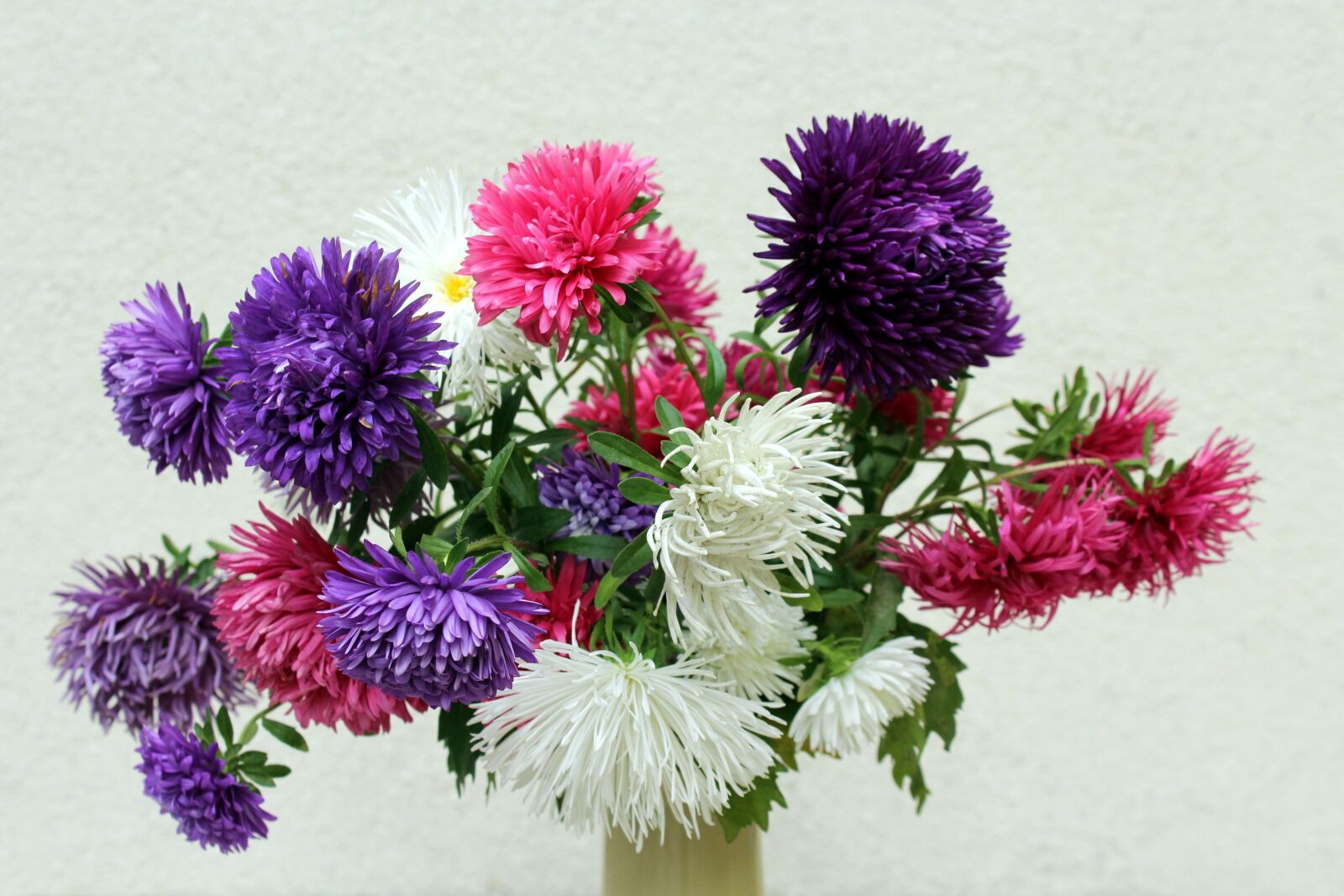 Canon EOS 1200D (EOS Rebel T5 / EOS Kiss X70 / EOS Hi) sample photo. Astra, bouquet, flowers photography
