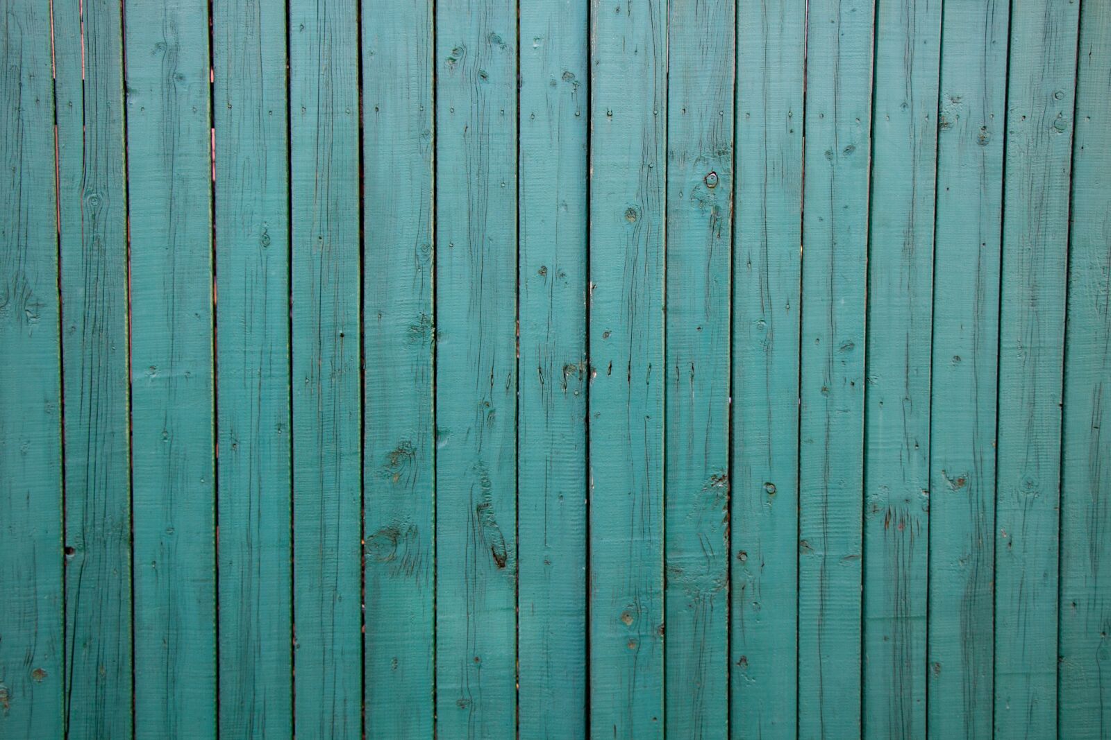 Canon EOS 100D (EOS Rebel SL1 / EOS Kiss X7) sample photo. Fence, wood, green photography