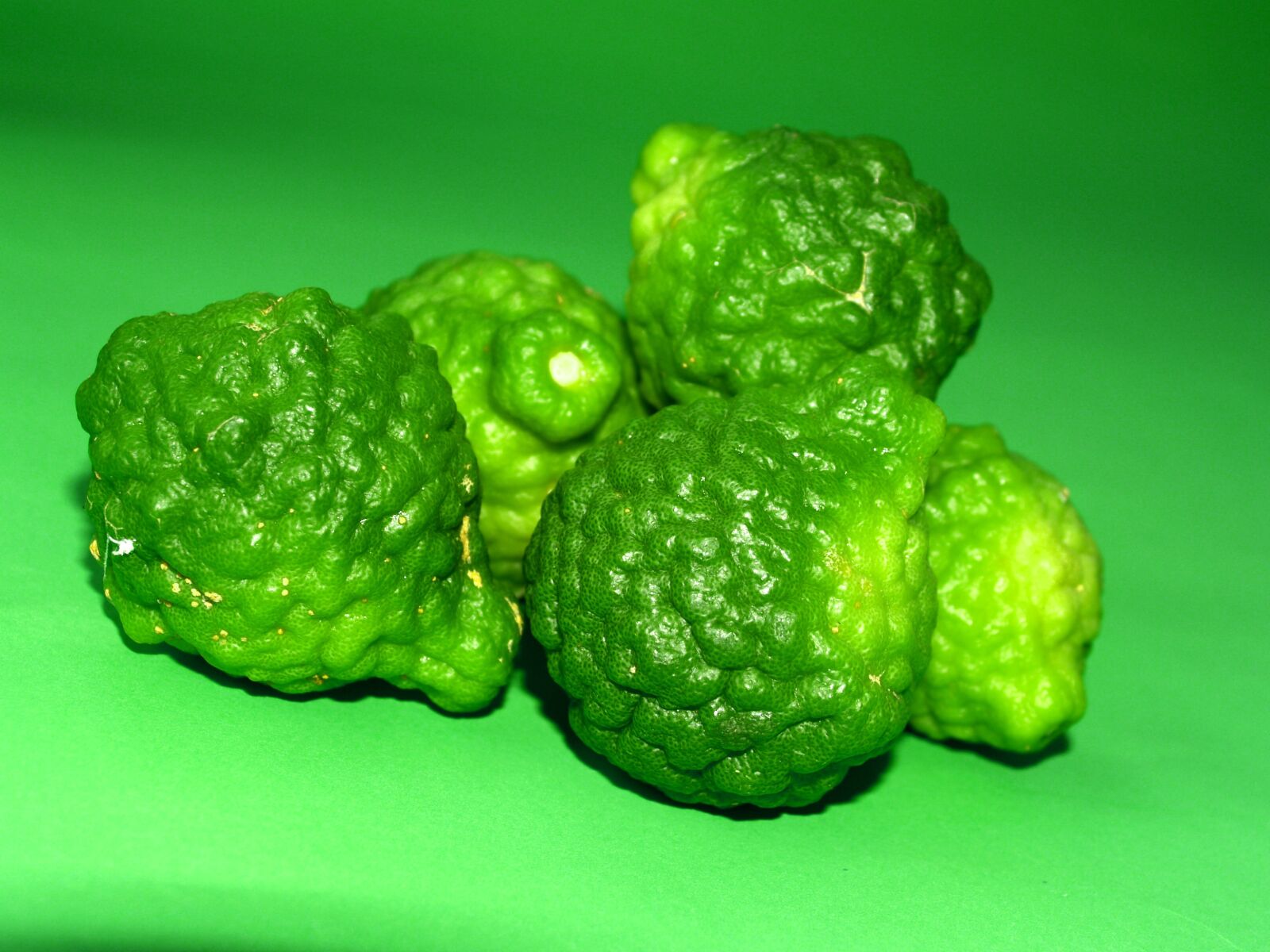 Olympus E-300 (EVOLT E-300) sample photo. Bergamot, fruit, leaf photography