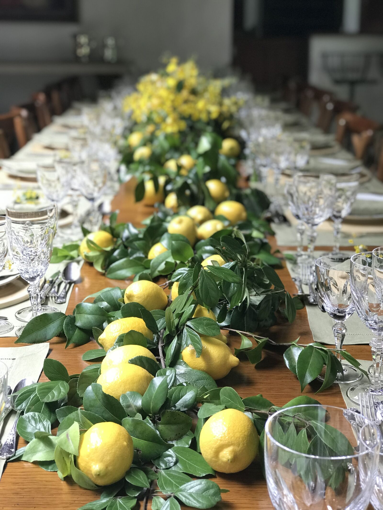 iPhone 7 Plus back dual camera 6.6mm f/2.8 sample photo. Lunch, lemon, tableset photography
