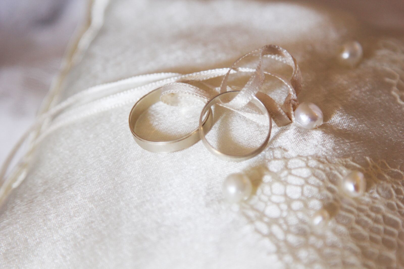 Canon EF 24-105mm F4L IS USM sample photo. Wedding, ring, hoop photography