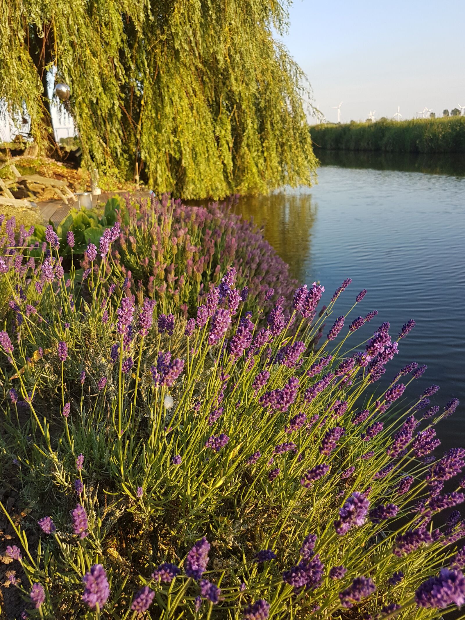 Samsung Galaxy S7 sample photo. Sunset, nature, landscape photography