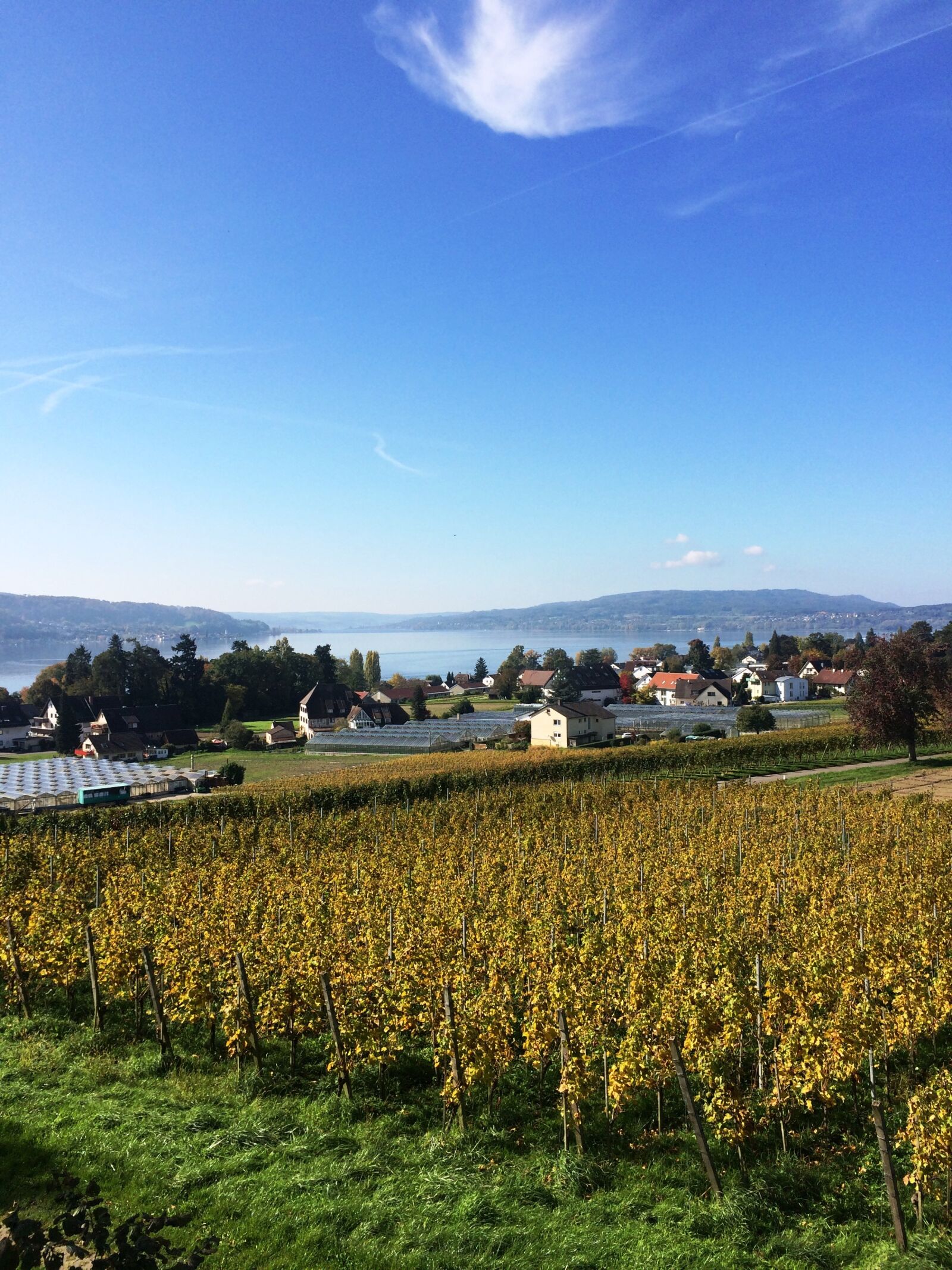 iPhone 5s back camera 4.15mm f/2.2 sample photo. Reichenau island, lake constance photography