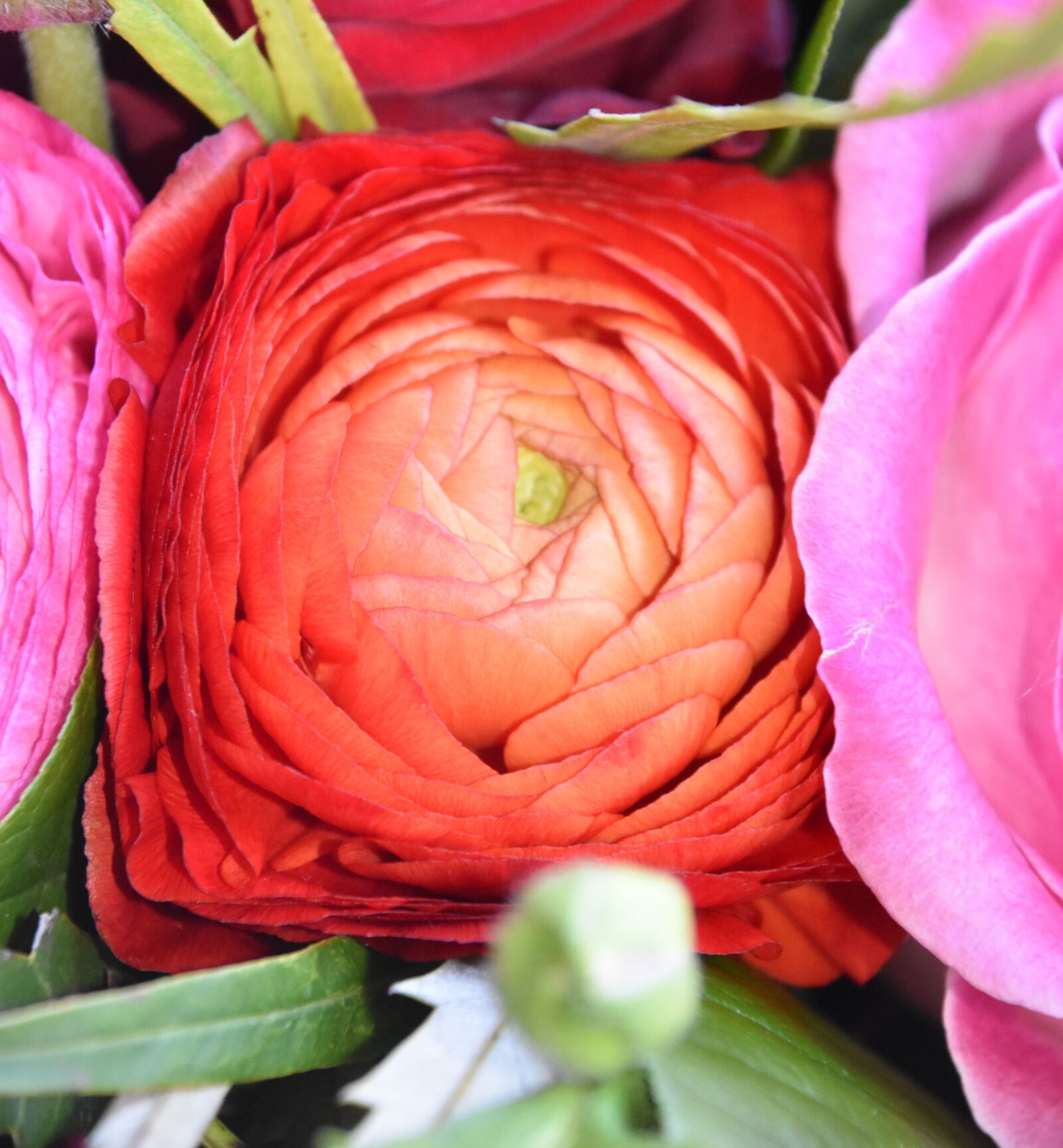Nikon D5600 sample photo. Flower, bouquet of flowers photography