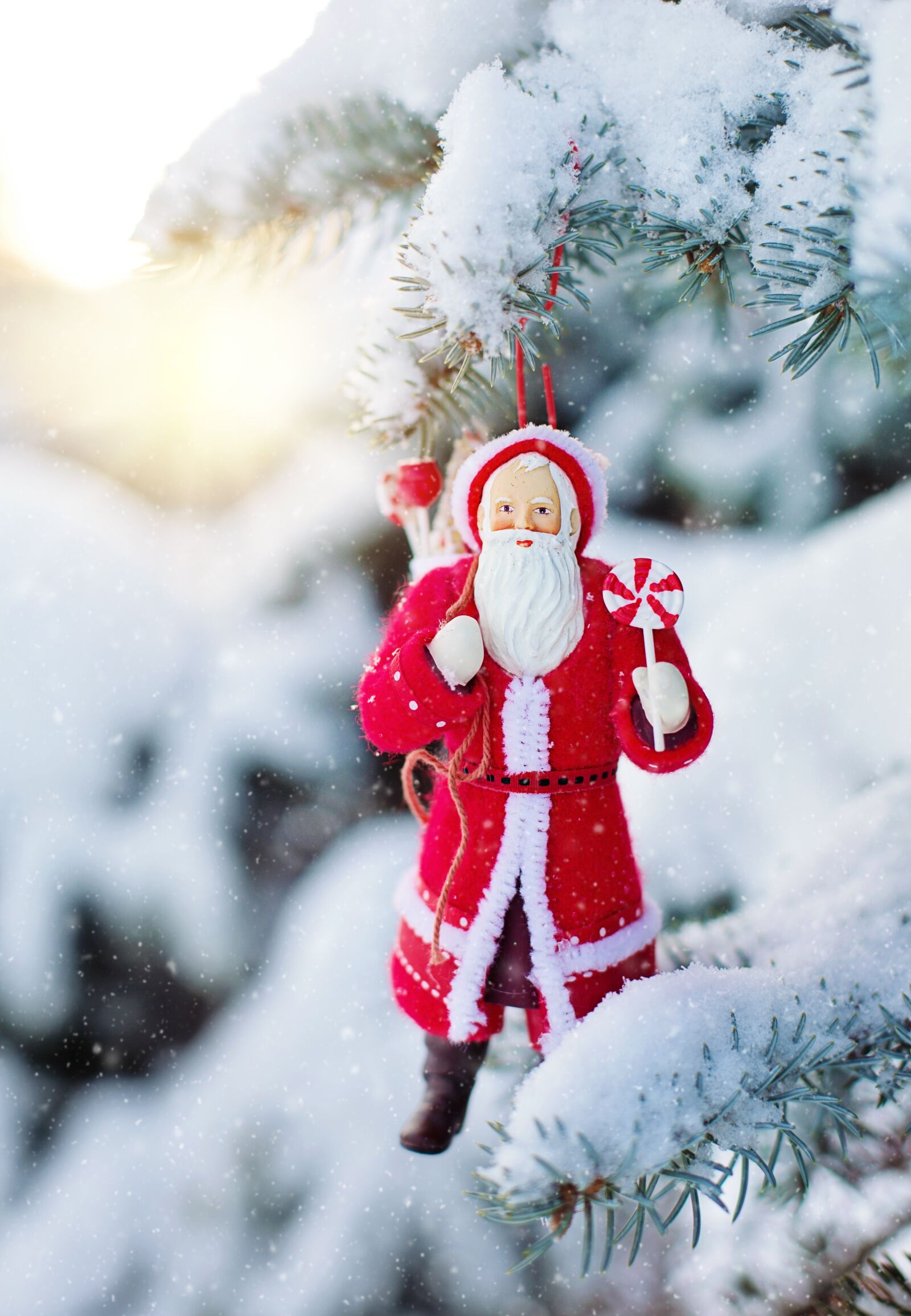 Canon EF 50mm F1.4 USM sample photo. Santa ornament, snowy tree photography