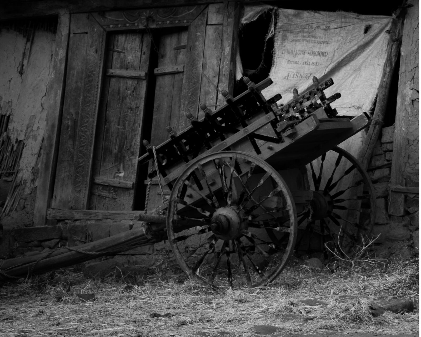 Nikon D3300 sample photo. Village, india, cart photography