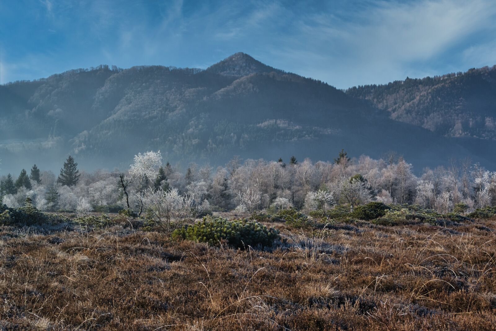 Nikon D7100 sample photo. Winter, frost, icy photography