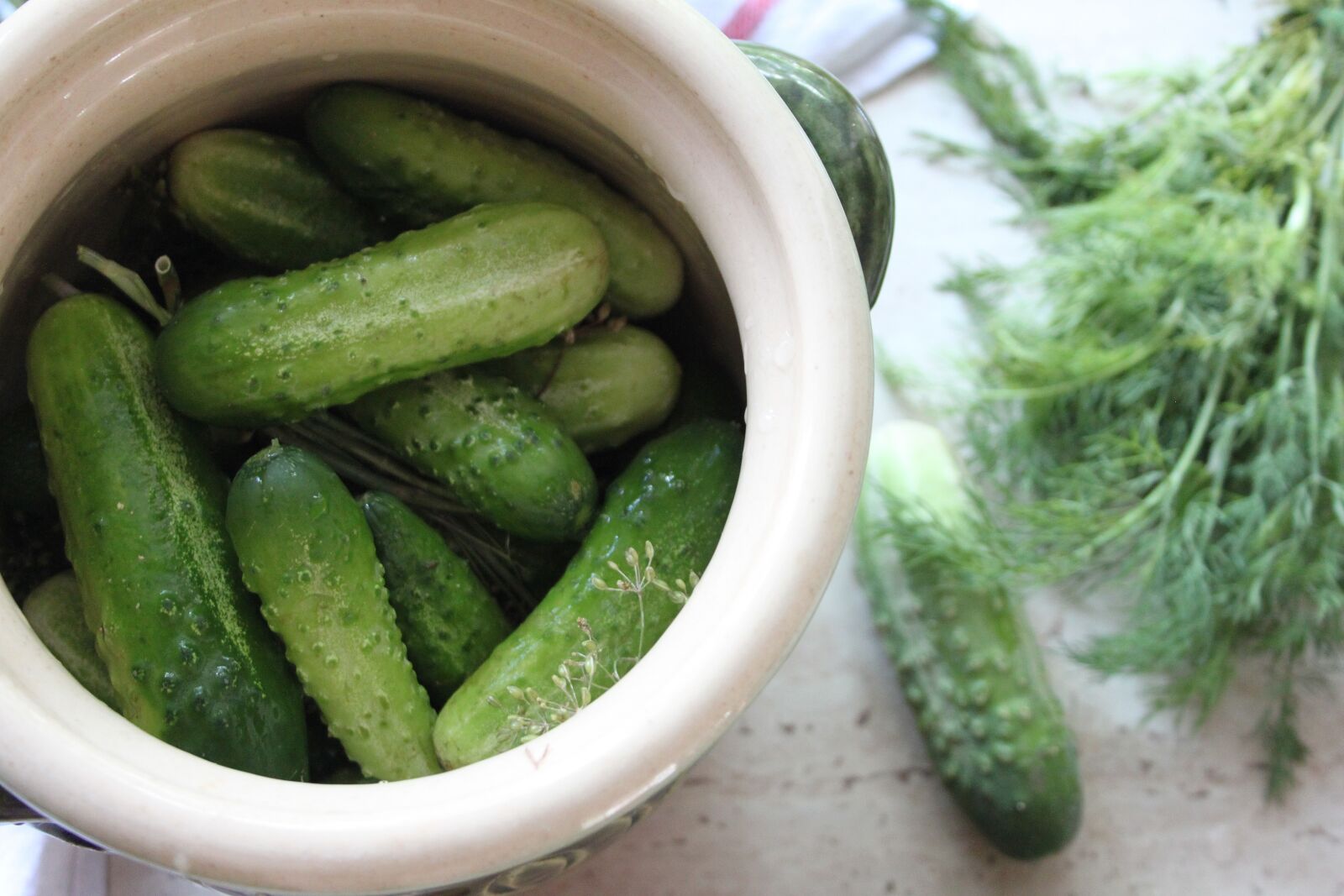 Canon EOS 500D (EOS Rebel T1i / EOS Kiss X3) sample photo. Cucumbers, kiszenie, małosolne photography