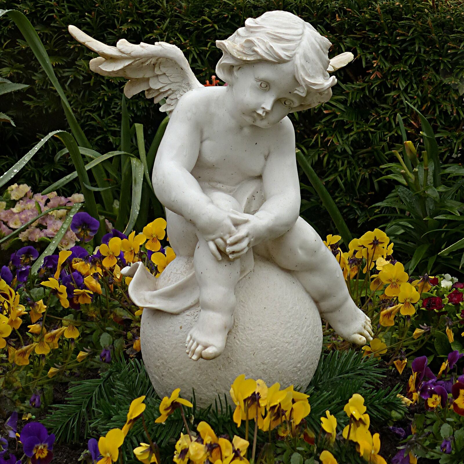 Panasonic Lumix DMC-FZ200 sample photo. Angel, figure, sitting photography
