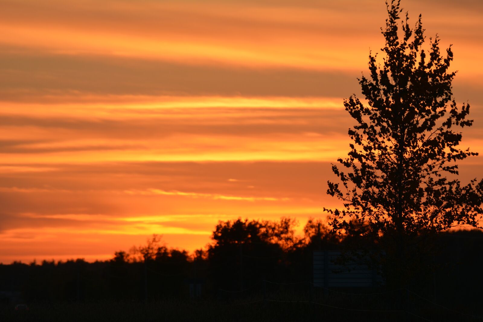 Nikon D7100 sample photo. Sunset, sky, landscape photography