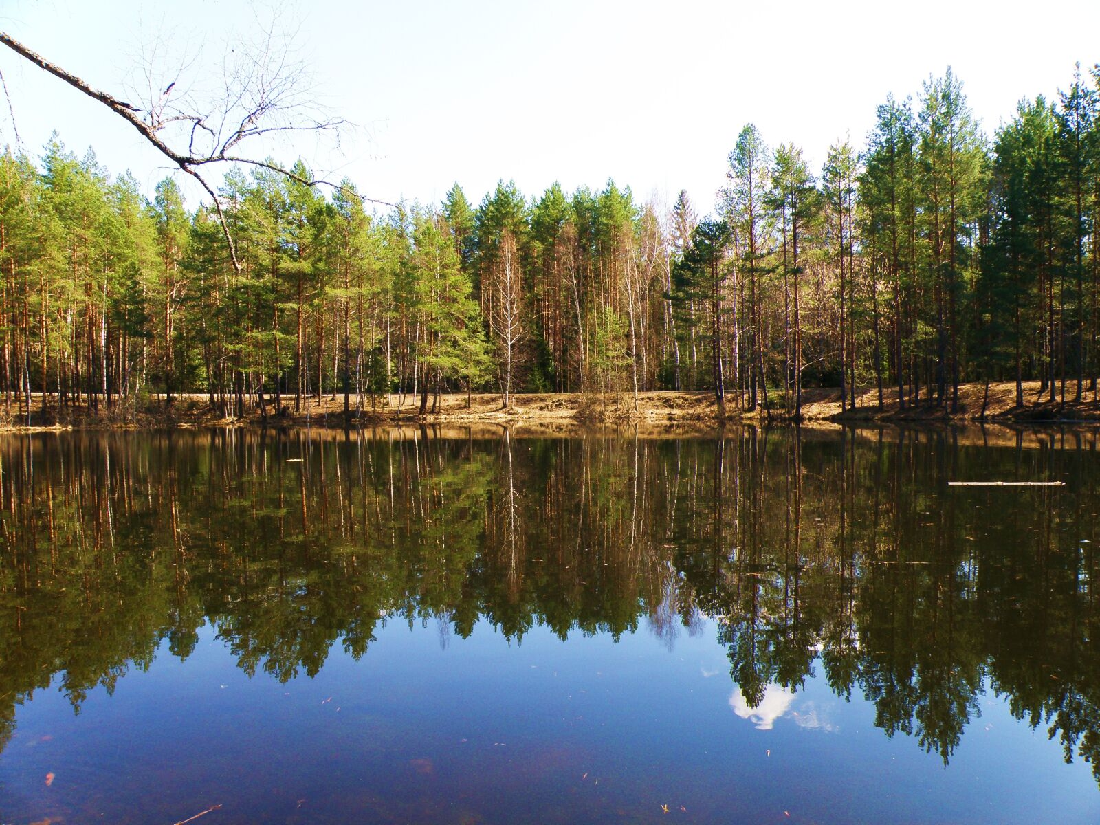 Olympus SP570UZ sample photo. Lake, russia, forest photography