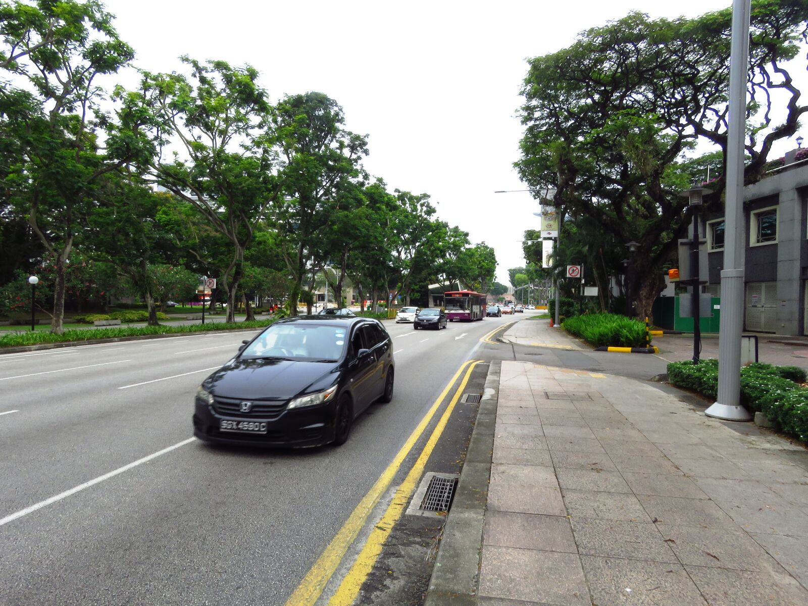Canon PowerShot SX60 HS sample photo