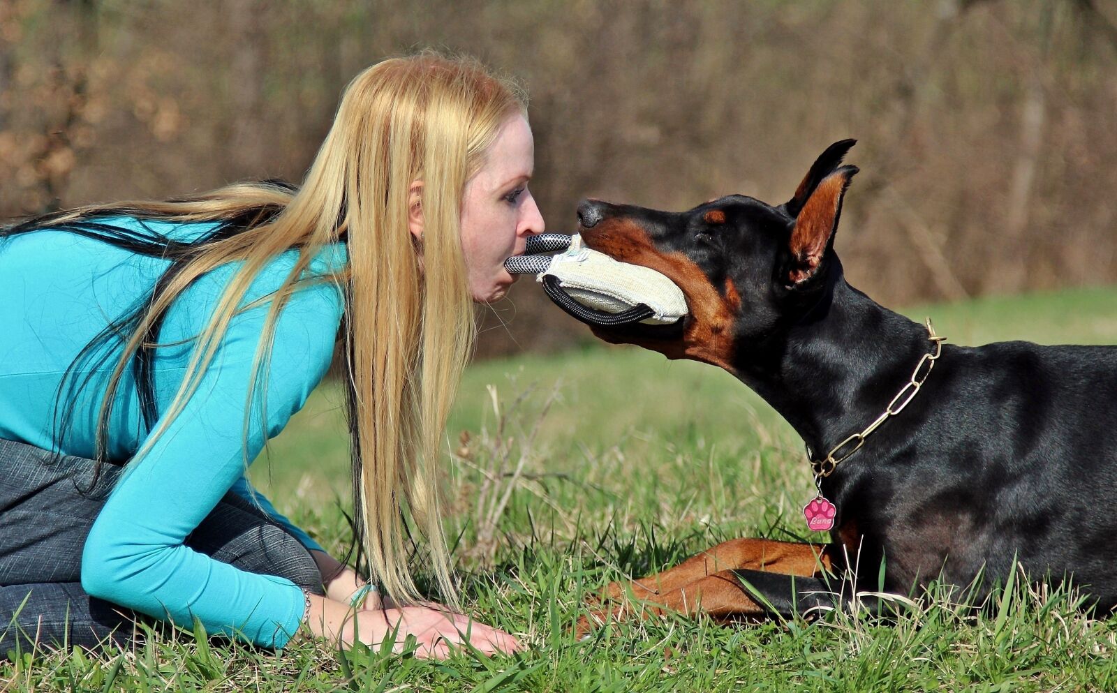 Canon EOS 600D (Rebel EOS T3i / EOS Kiss X5) sample photo. Doberman, dog, game photography