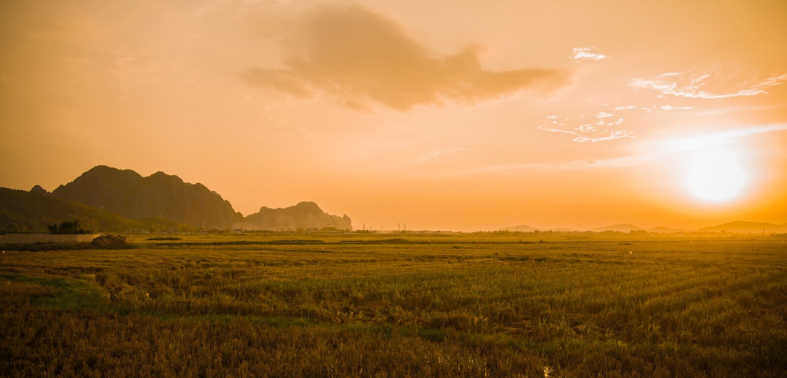 Nikon D700 sample photo. Sunset, field, forest photography