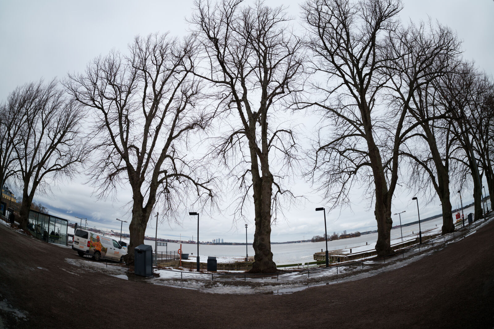 Sigma 15mm F1.4 DG DN Diagonal Fisheye Art sample photo. Trees by the street photography