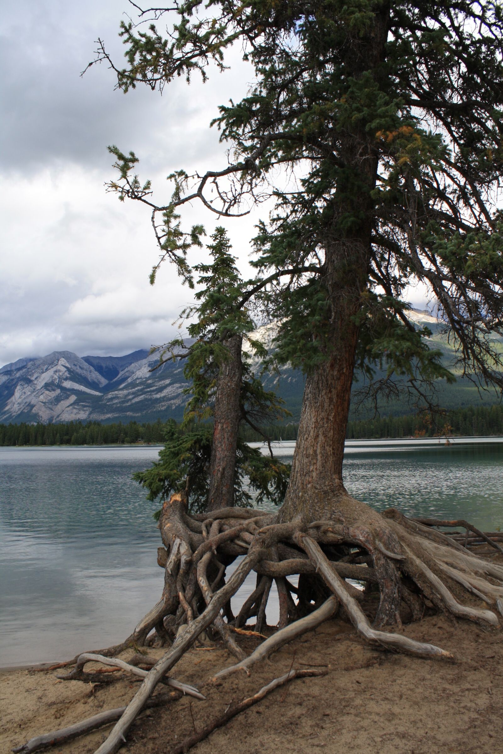 Canon EOS 1000D (EOS Digital Rebel XS / EOS Kiss F) sample photo. Lake, nature, landscape photography