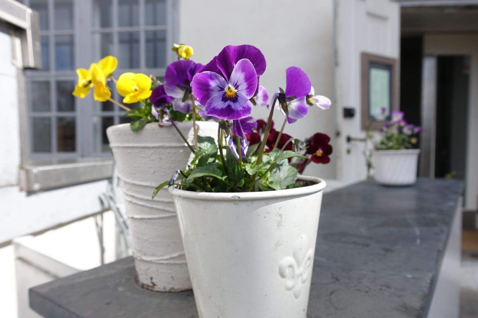 Sony Cyber-shot DSC-RX100 III sample photo. Garden flowers, garden pottery photography