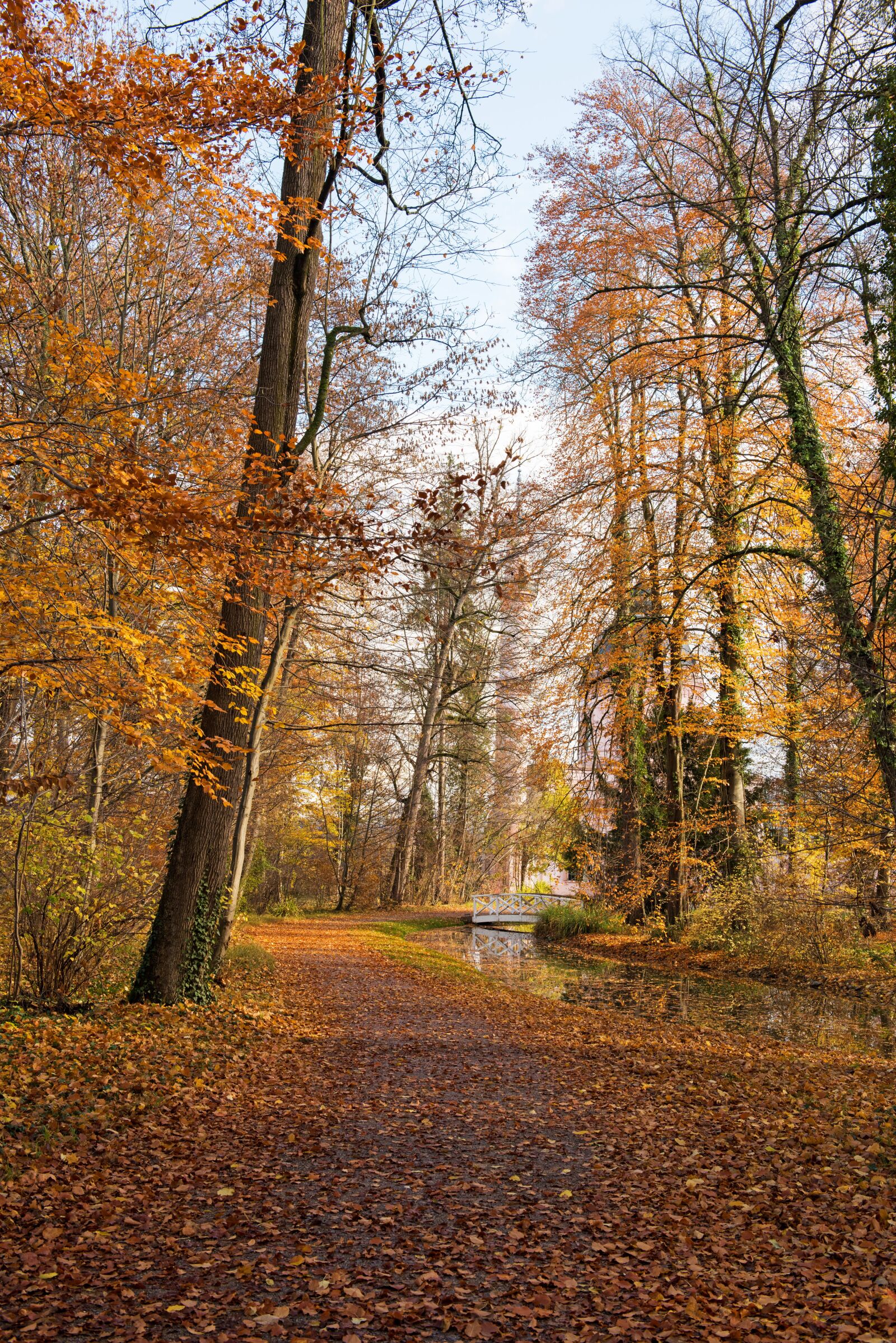 Nikon D810 sample photo. Palace, autumn, leaves photography