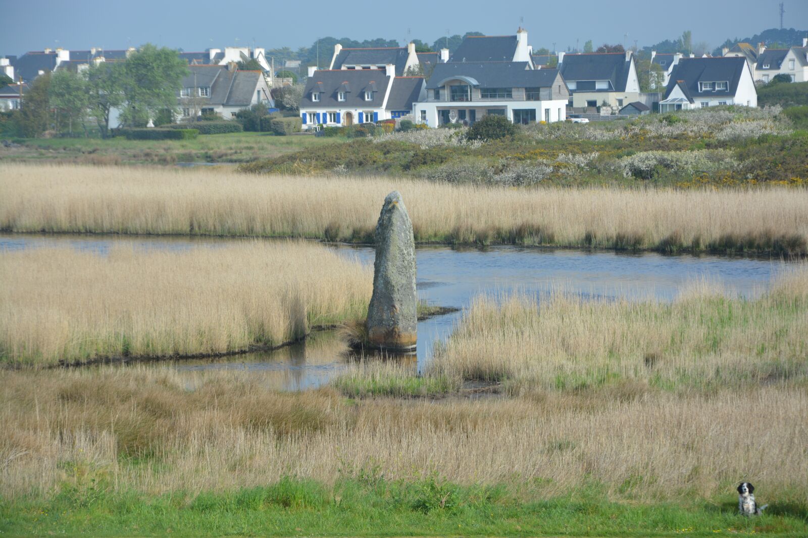 Nikon D5200 sample photo. Menhir rising, brittany, menhir photography
