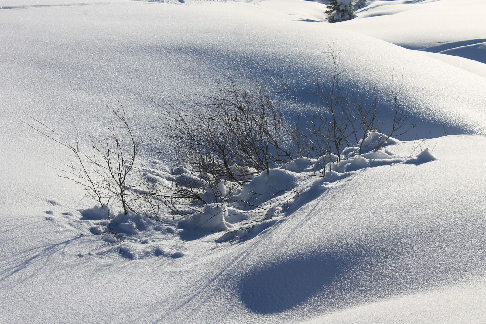 Canon EOS 1100D (EOS Rebel T3 / EOS Kiss X50) sample photo. Snow, ice, winter photography