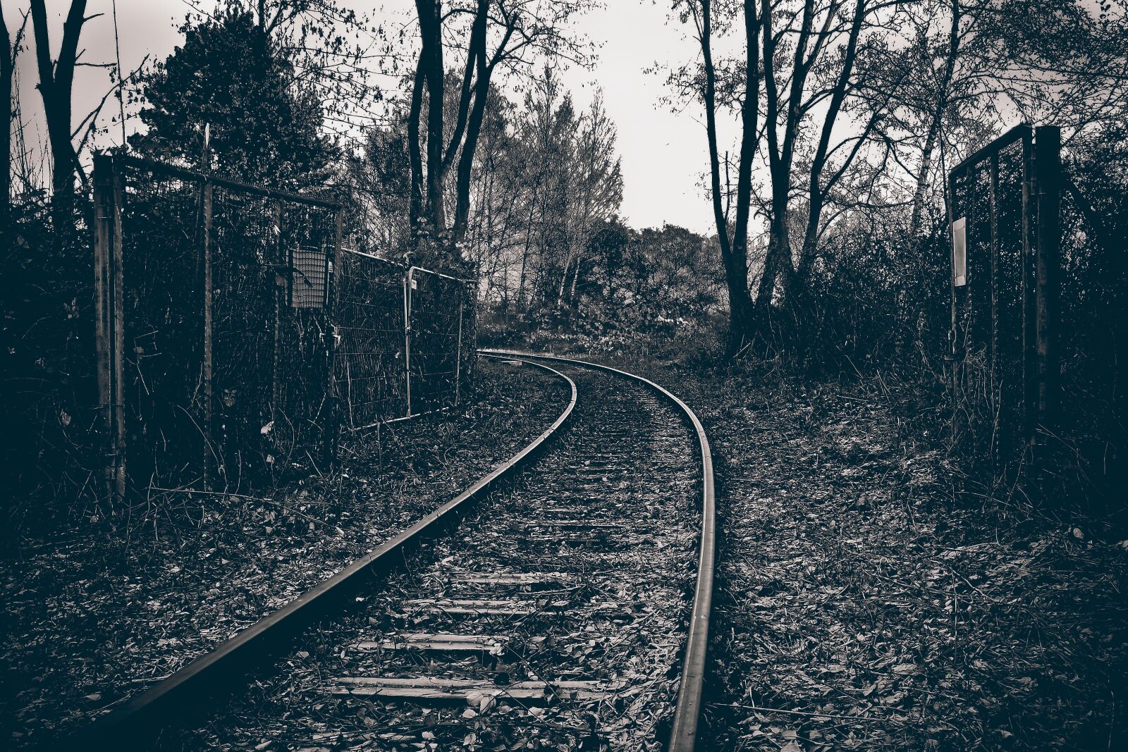 Olympus OM-D E-M10 sample photo. Lost places, railway, gleise photography